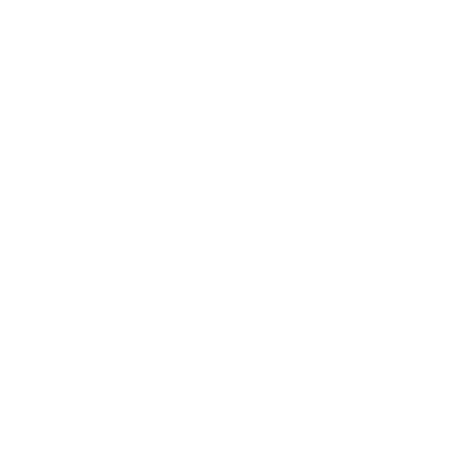 Liako Agency Logo About Page