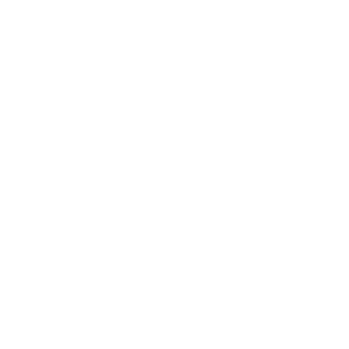 Liako Agency Artist Revoice Logo