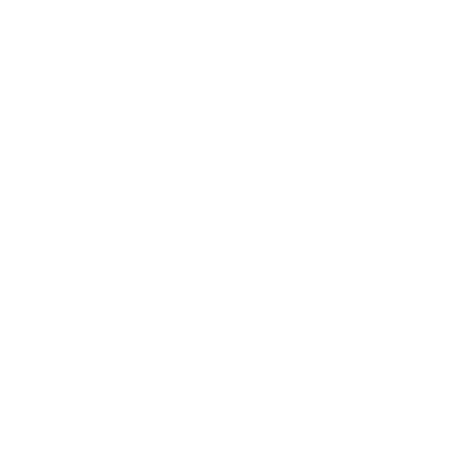 Liako Agency Artist Young Thing Logo